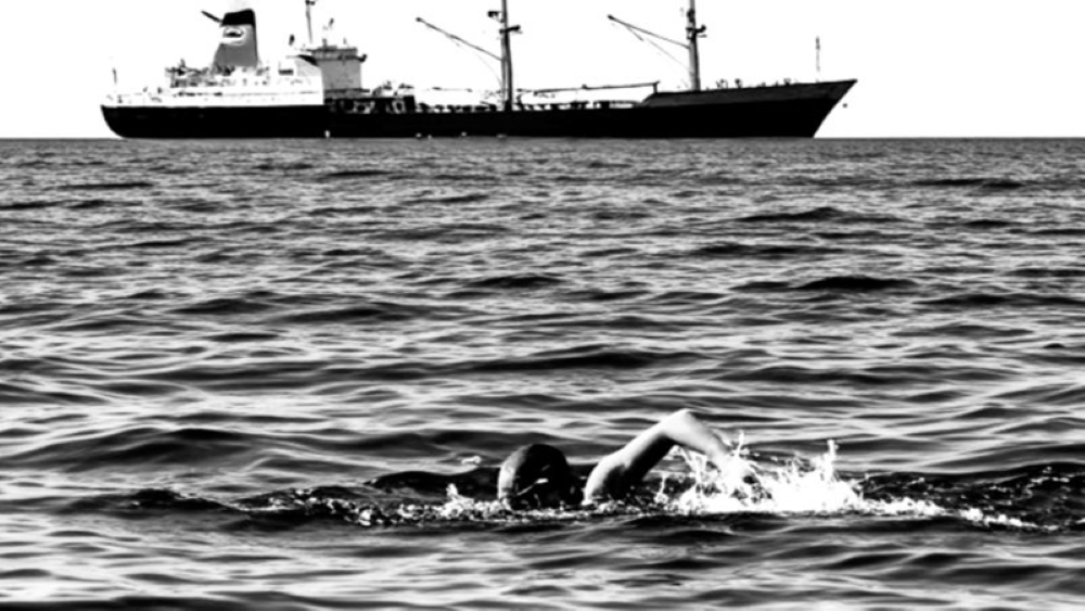 Daisy Communications celebrates successful charity Channel swim
